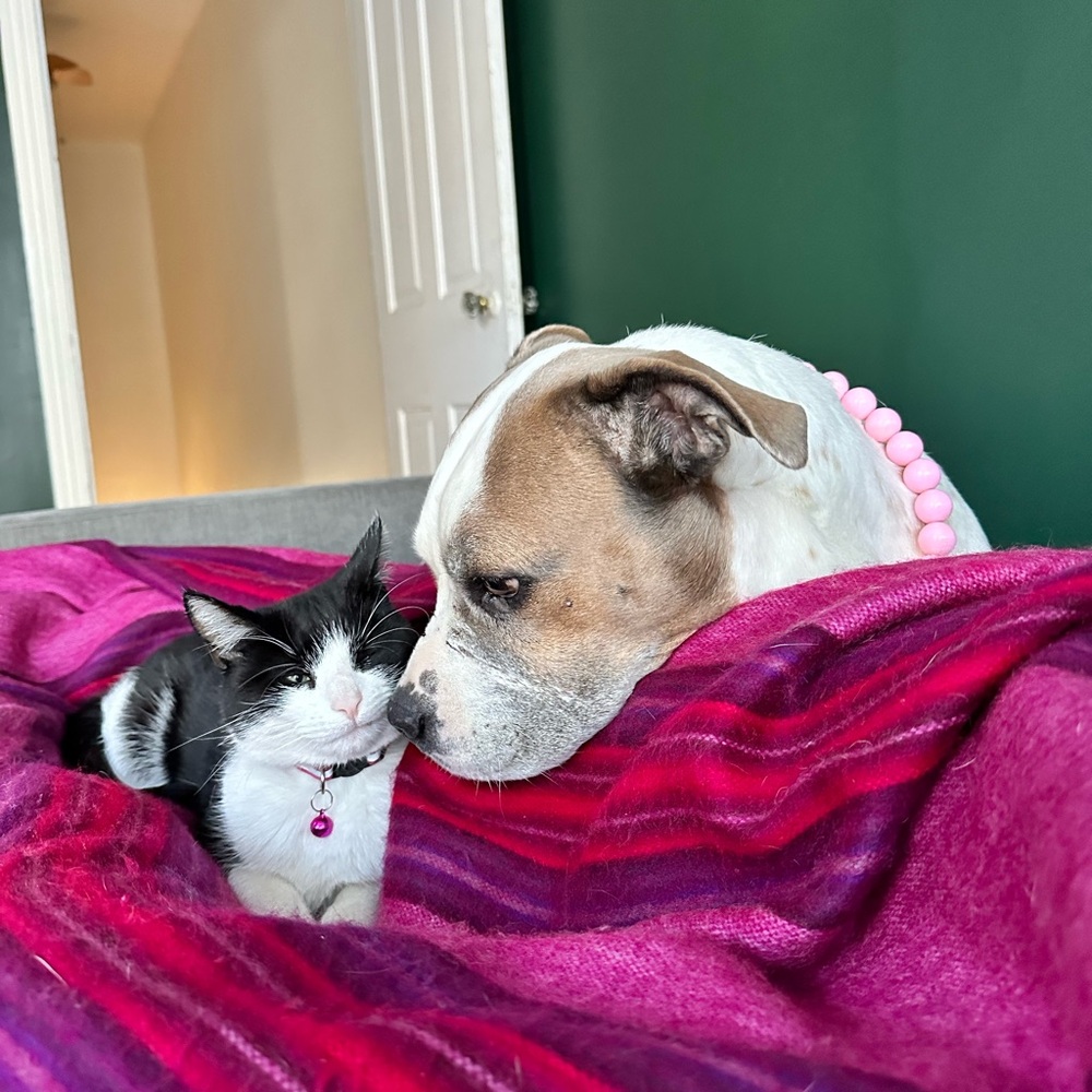 Meet your Posher, Keira